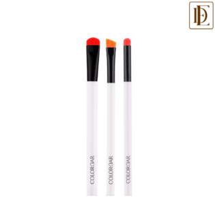 Colorbar Ready To Wink Perfect Eye Makeup Kit