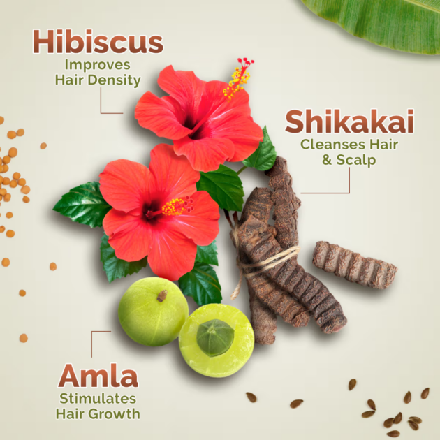 Mamaearth Kerala Thaali Shampoo With Hibiscus, Shikakai, Amla, Flax Seeds (250ml) - Image 5