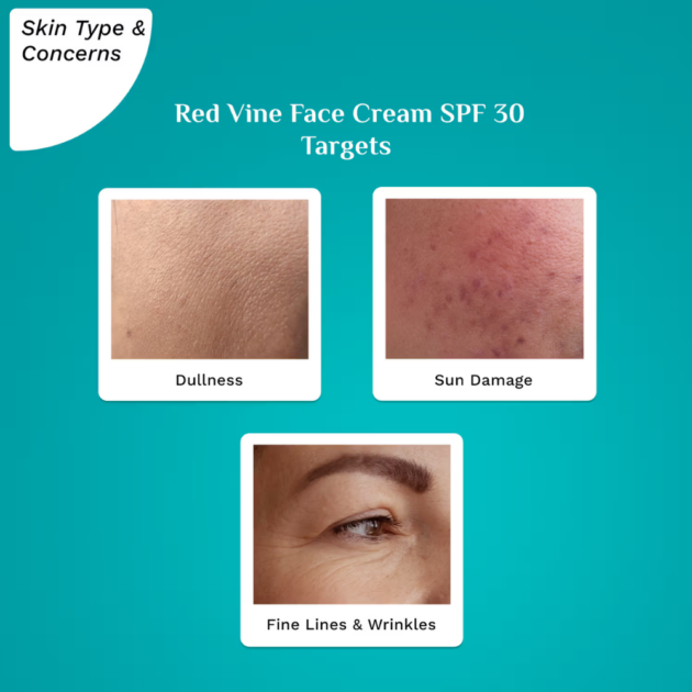 Pilgrim Red Vine Face Cream SPF 30 with Vitamin C & Rosehip Oil (50g) - Image 4